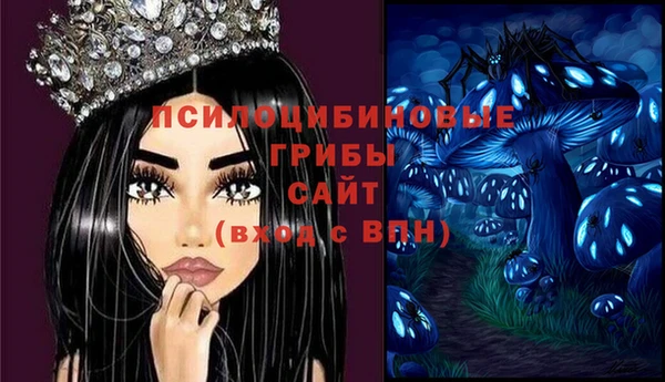 МДПВ Алексеевка